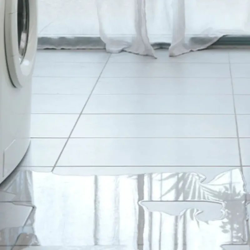 Appliance Leak Cleanup in Albers, IL