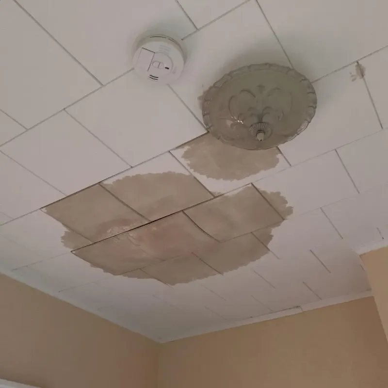 Ceiling Water Damage Repair in Albers, IL