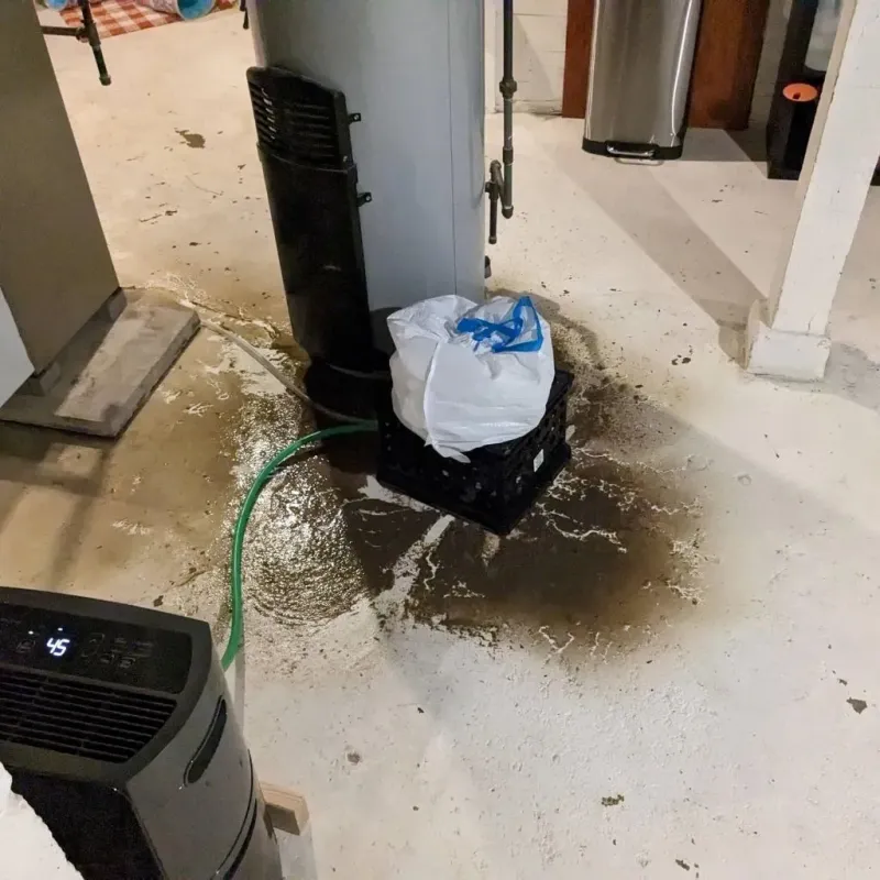 Sewage Backup Cleanup Service in Albers, IL